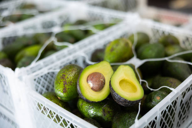 Avocados