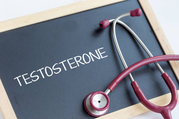 The Role of Testosterone in Erectile Dysfunction: What Every Man Should Know
