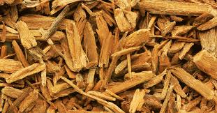 Yohimbe tree bark Yohimbine