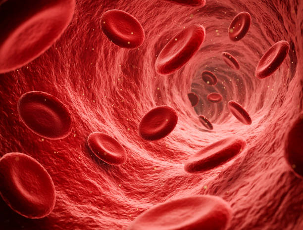 Improve Blood Flow