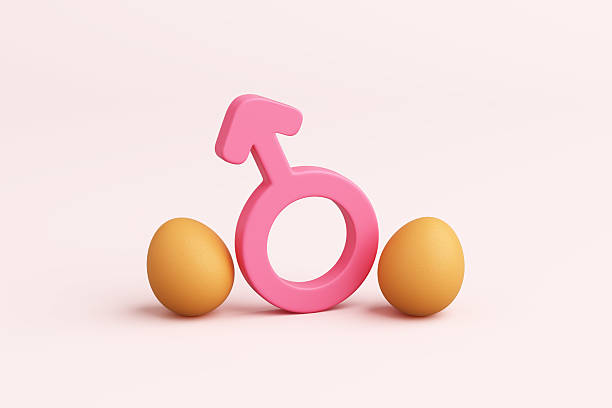 Erectile Dysfunction